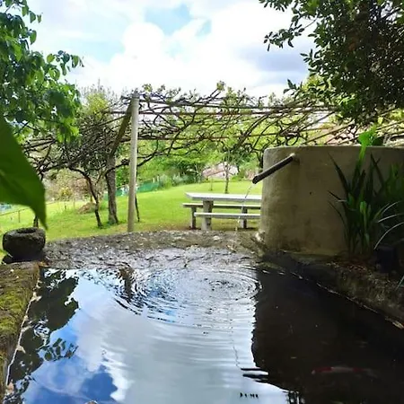A Vina De Lina. Turismo Rural Con Piscina Y Finca. Pontevedra Exterior photo